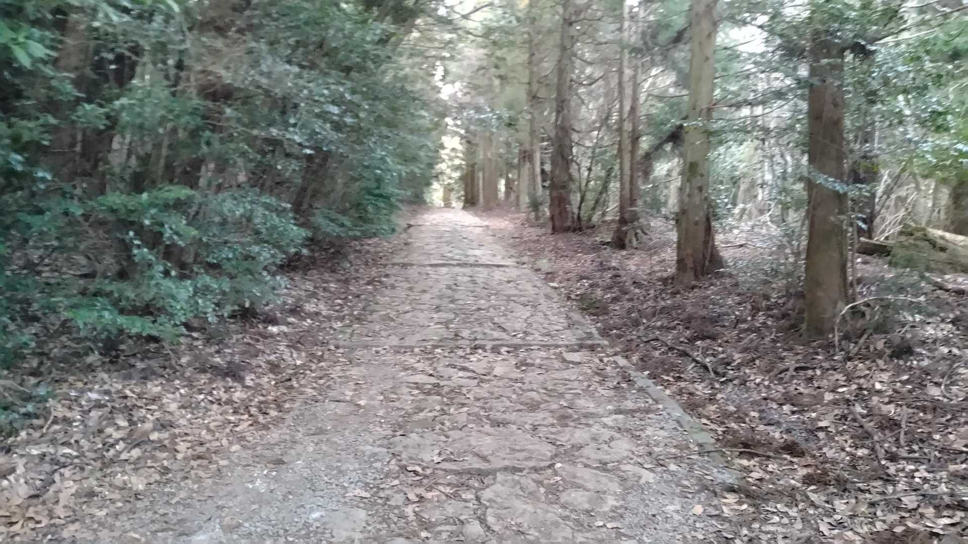 参道
