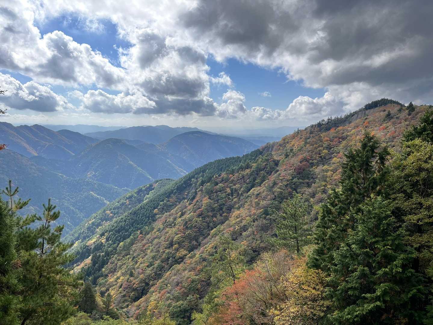 サクラグチ東峰に向かう途中の崩落地からサクラグチ東峰の山頂と紅葉🍁が見れました😄