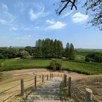 山頂！
約19mの高さとのこと。円墳では日本最大とか。
三角点撮り忘れた！