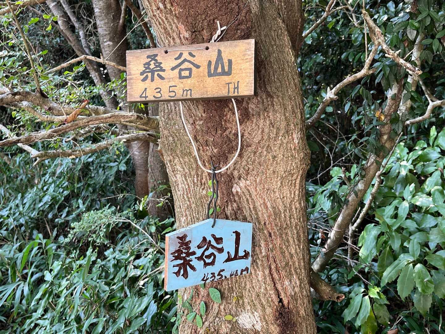山頂表示が4つもありました😆