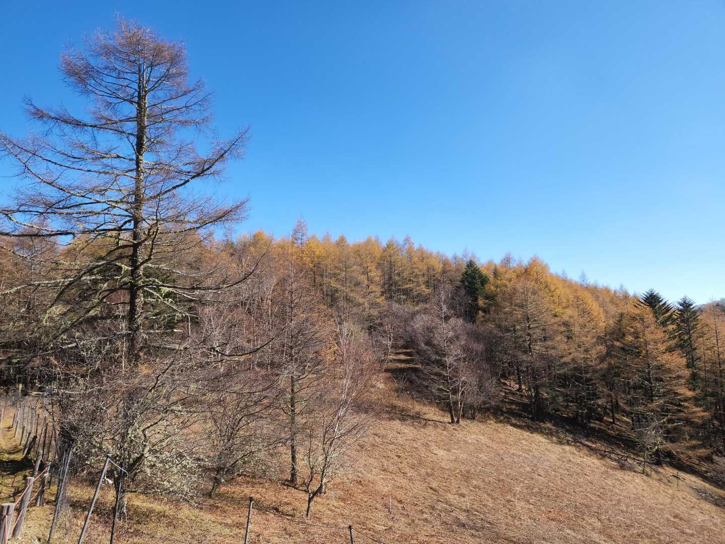 櫛形山（みはらし台駐車場）＜北尾根登山道＞の写真