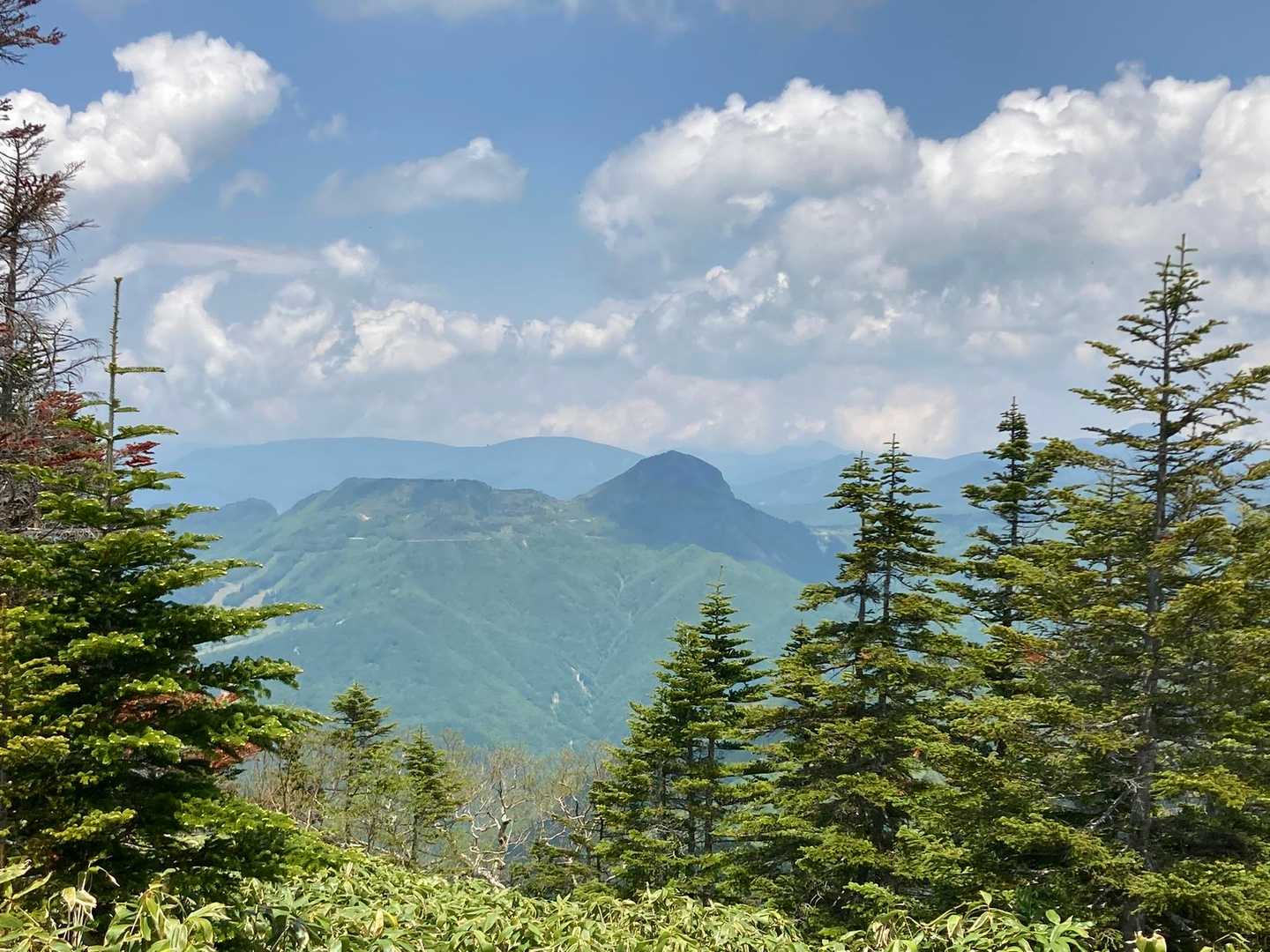 背伸びしてようやく撮れた笠ヶ岳。