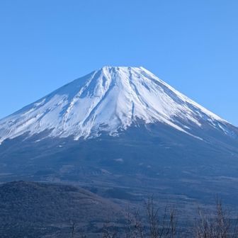 ずっと眺めていられる