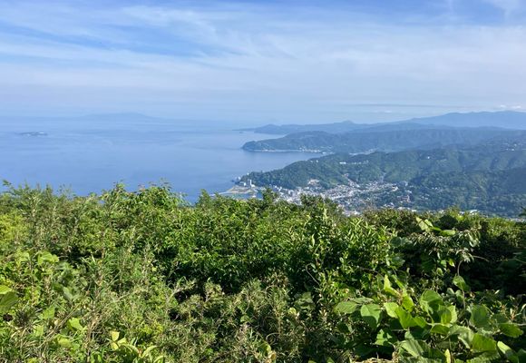 Mz｜東京都の登山記録 | YAMAP / ヤマップ