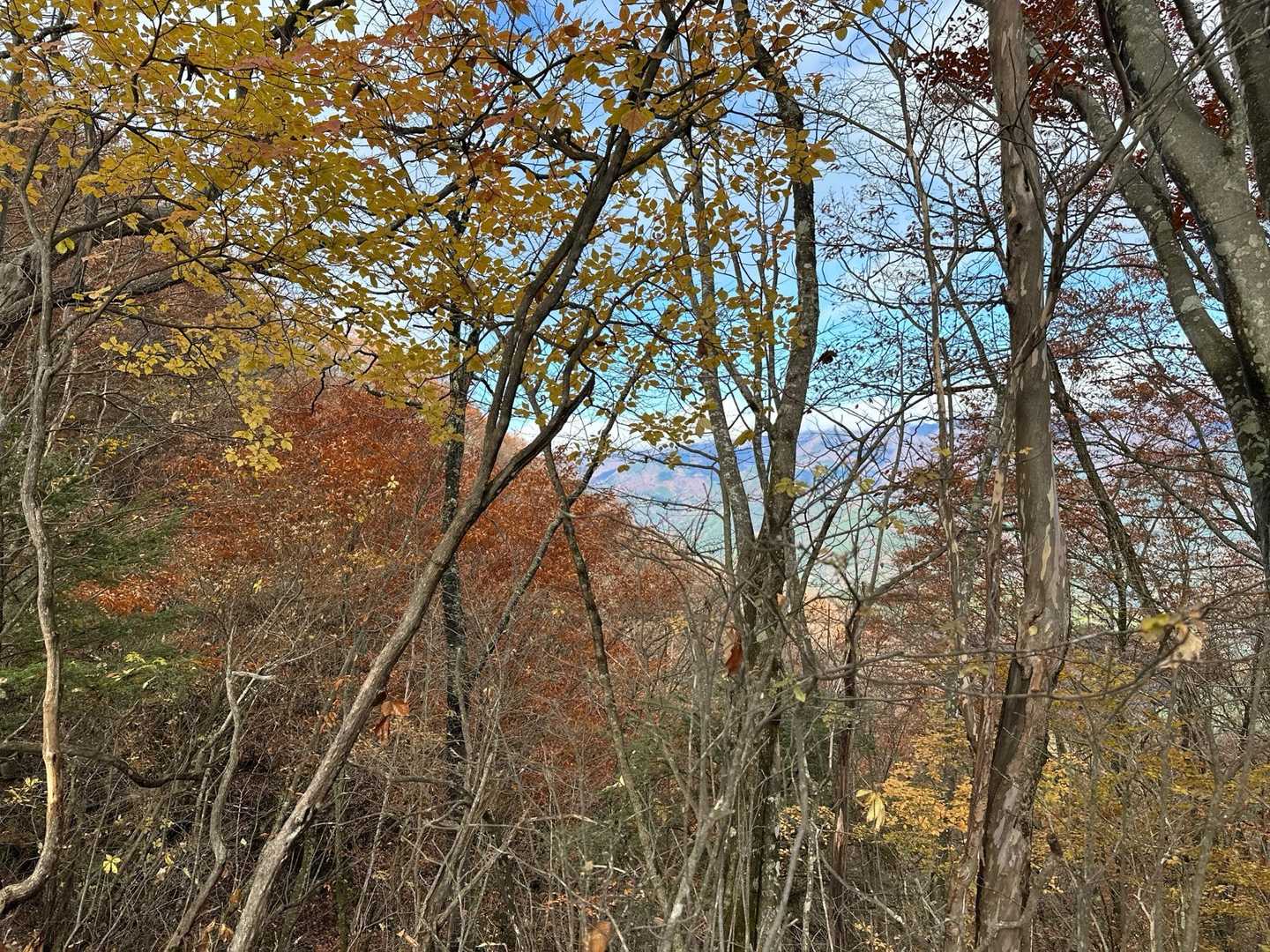 葉っぱが落ちている木が多いので、遠くの山も見えました。