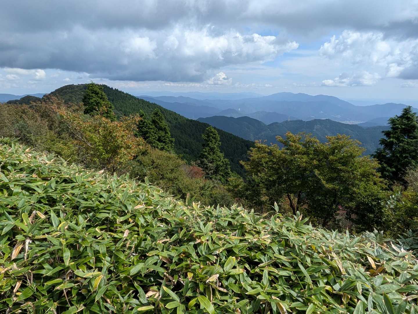 井水山-中央峰-泉山 往復コースの写真