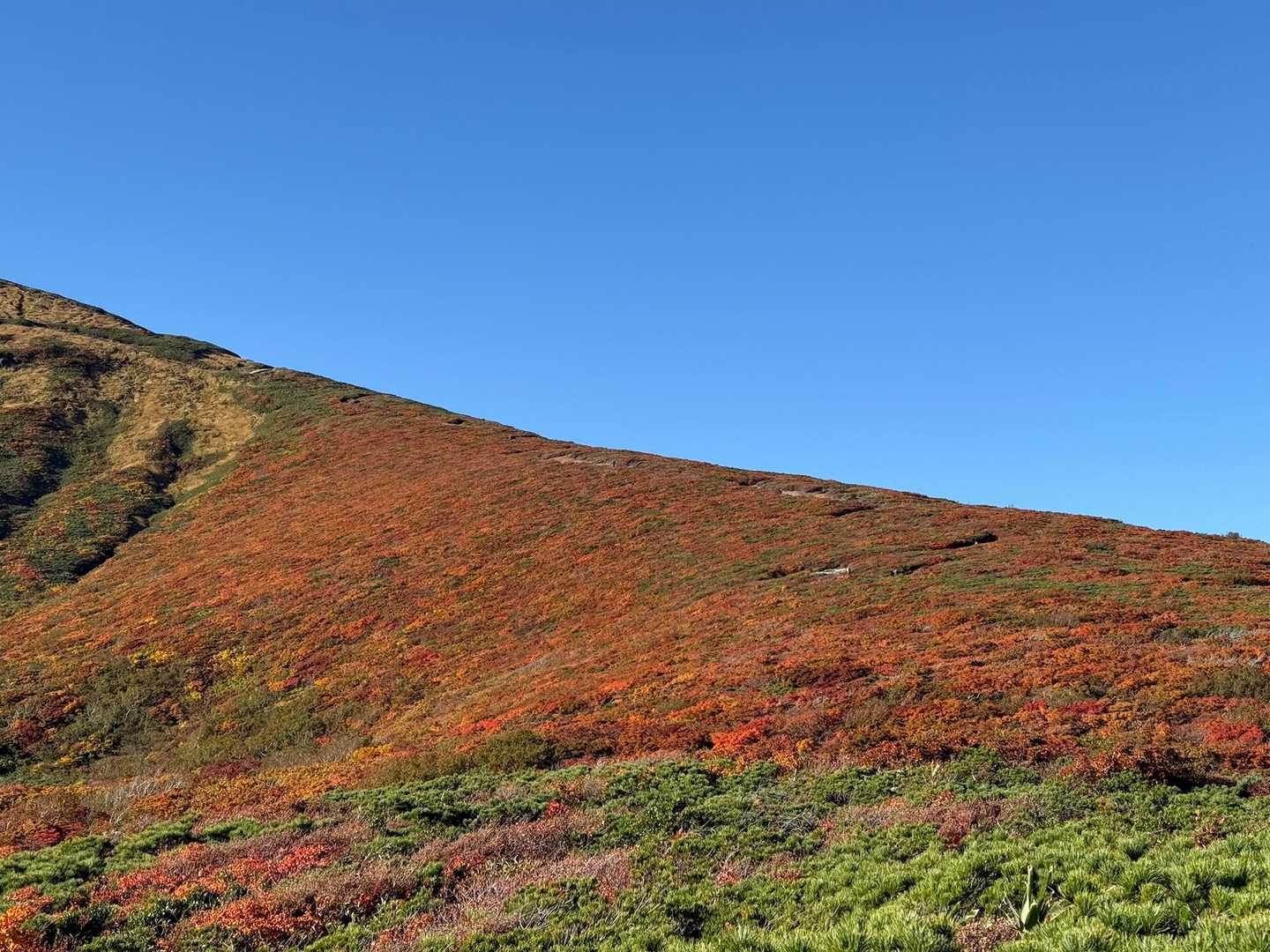 栗駒山 | 神の絨毯と称される圧倒的な紅葉美、山全体を染める極彩色のパノラマの写真