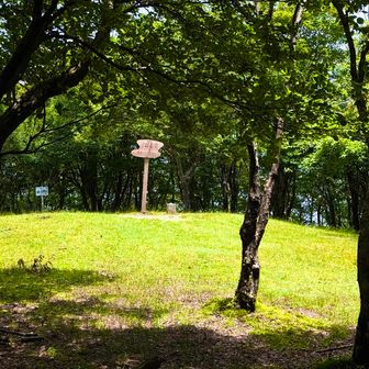 
ゴルフの前半9ホールグリーン⛳️みたいな😊
折り返しでもある三峰山てっぺん

三峰山山頂グリーンが光り輝いてた
