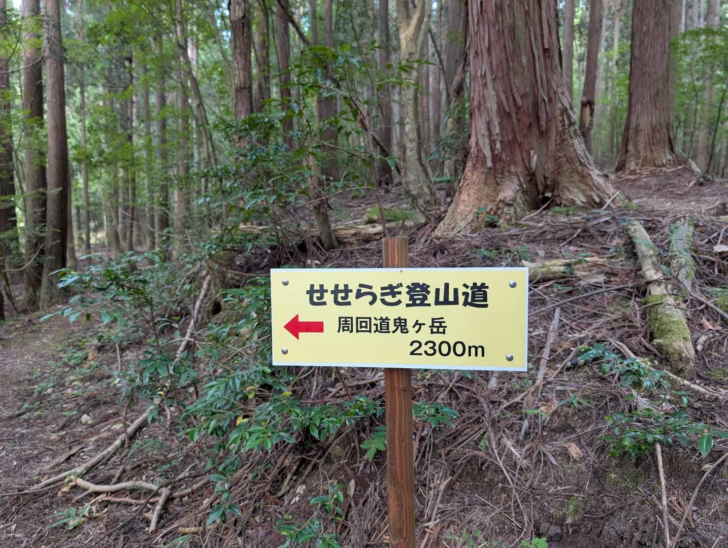 RYOさんに、せせらぎコースを案内してもらいました。