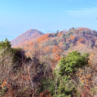 太郎坊山の先っぽ😊