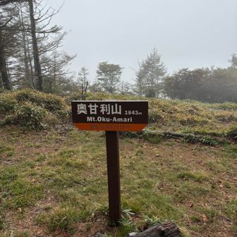 急いで、戻ります〜