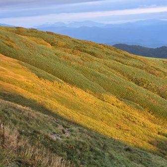 夕日の当たる御西の南側斜面