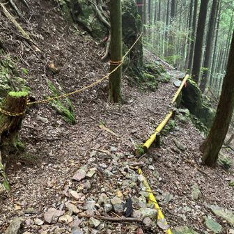 落ちないよう、滑って尻もちつかないよう
慎重に下ります。