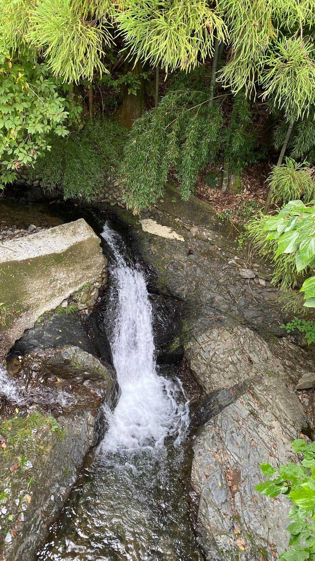 高尾山口駅-草戸山-榎窪山 周回コースの写真