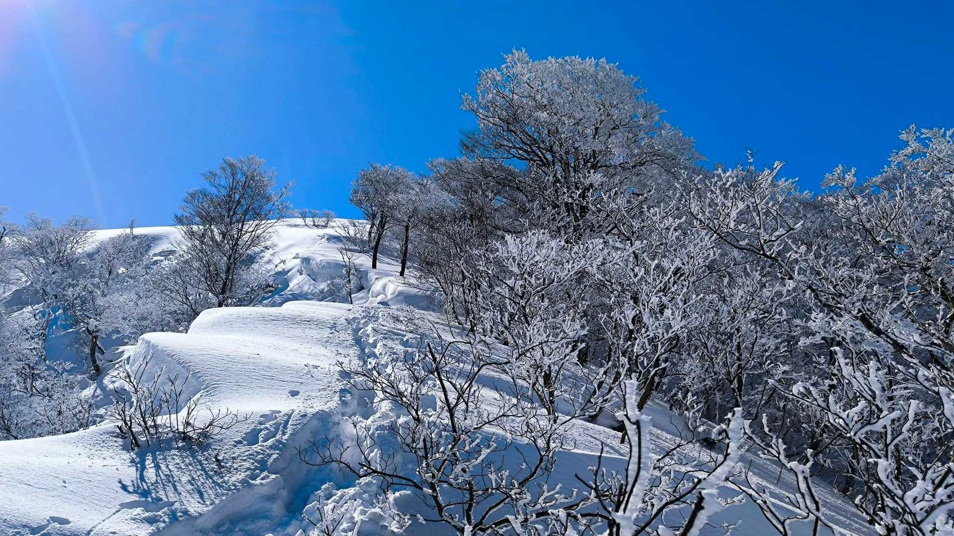 武奈ヶ岳-細川越 往復コースの写真