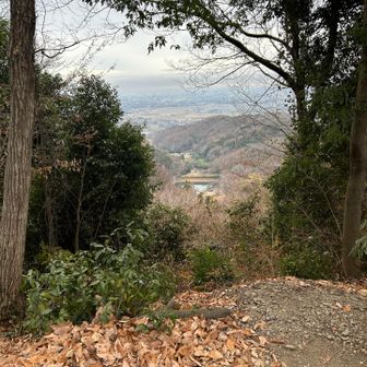 ビュースポットは枯葉がたくさん