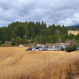 駐車場🅿️は私達ギり！
もう満車🈵️
散策の人が居るから回転速いかな。