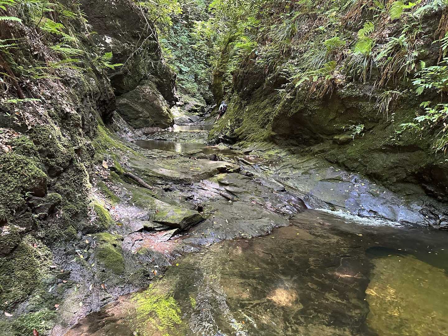 鎌倉古道 大塚山・三浦三良登山口-三浦三良山 周回コースの写真