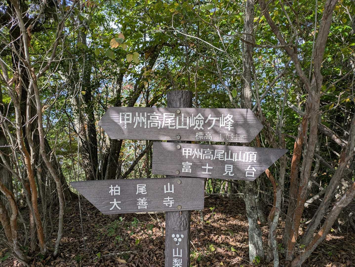 もう一つあった