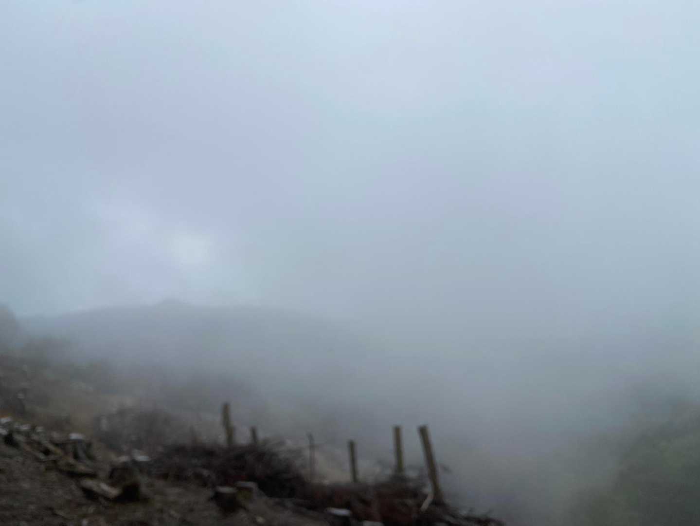 眺望ポイントもガスガス🌫️