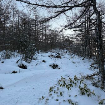 雪はしっかりあるな