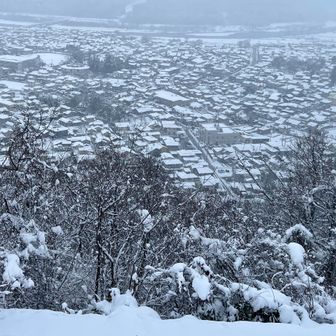 風は強いし、雪は結構降りつけてくるしで、昨年とは全く別の元日。村上市内の景色も昨年とは全く別の見え方。でも、これもよし。