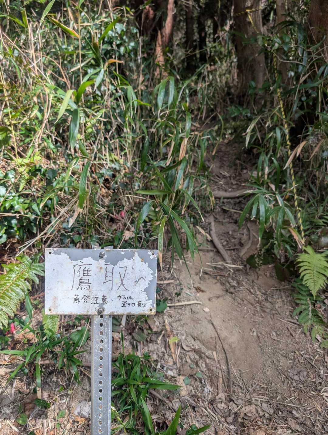 急登スタート