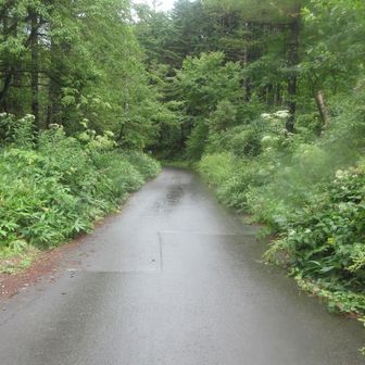 そして…アス道に…🚶💦