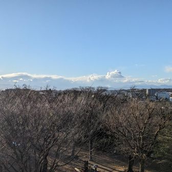富士山、南アルプスは見えません