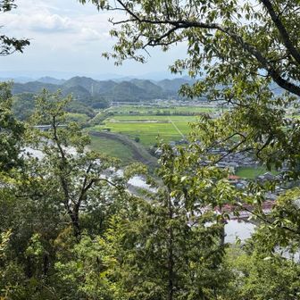 長良川