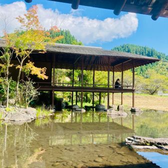 水面に映る雲ともみじ🍁