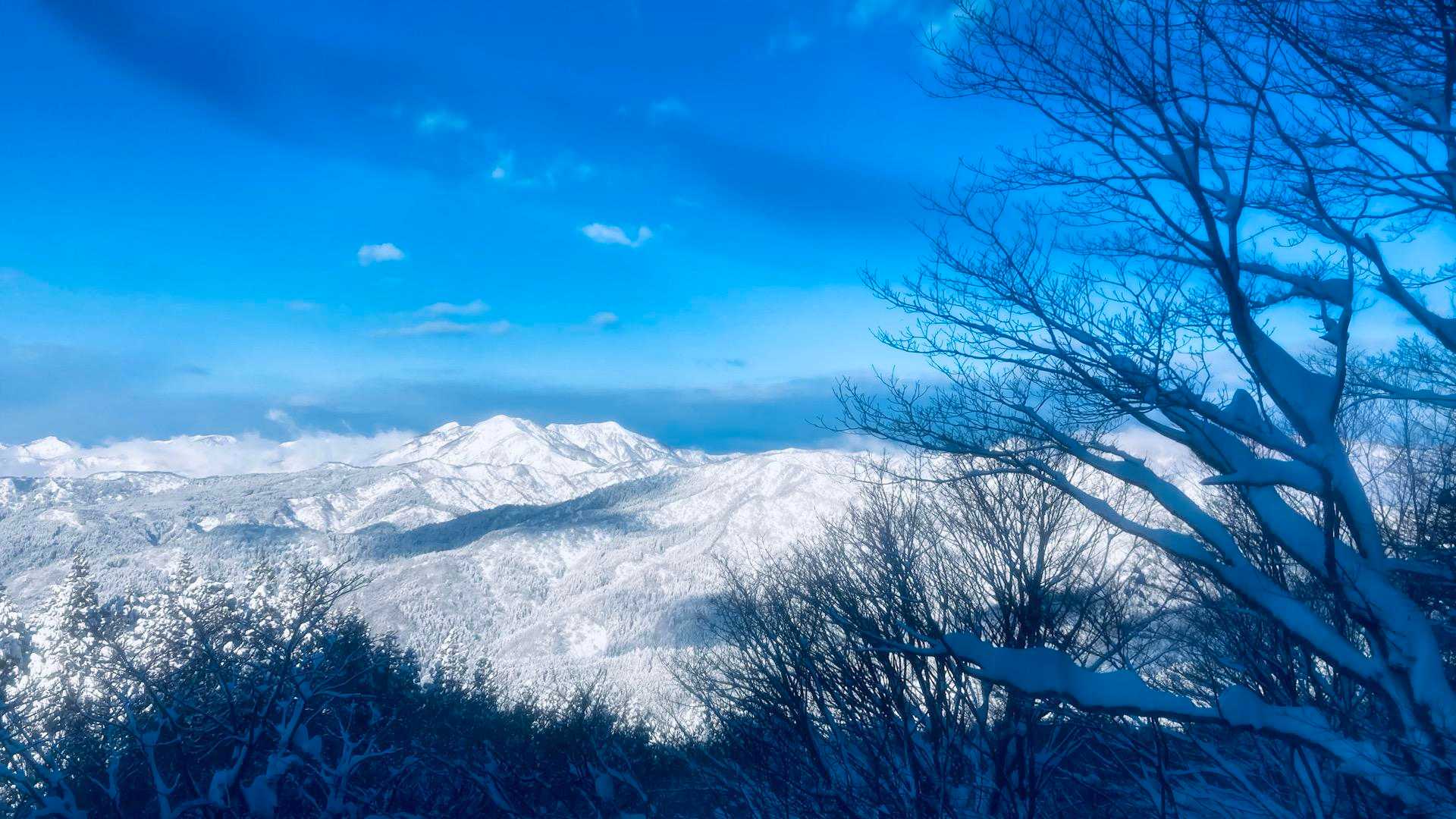 取立山 往復コースの写真