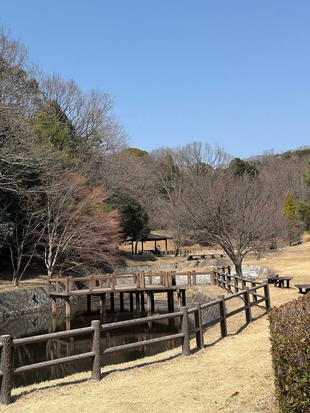 駐車場付近まで戻ってきました。ピクニックに良さそう。