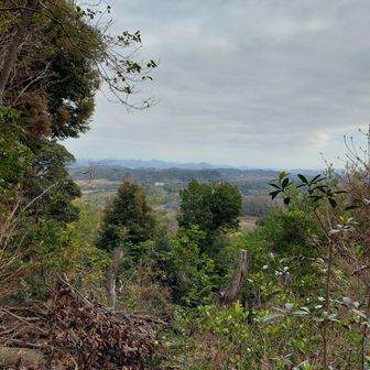 羽束山も見えています