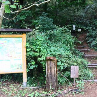 龍崖山への登山口。