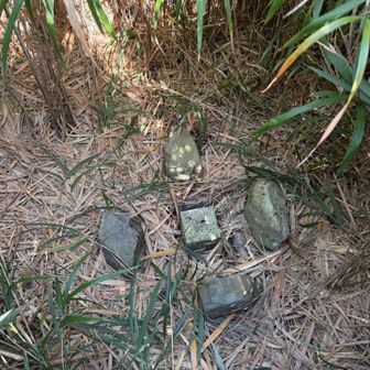 道なき薮漕ぎの末到着！大岳

阿佐　四等三角点