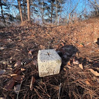 前回スルーしてしまったので

点名：烏ヶ崎
標高：267.17m
種別：四等三角点