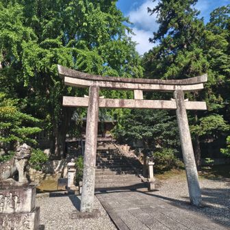 立派な鳥居…

空はキレイ〜