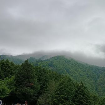 山頂は雲の中