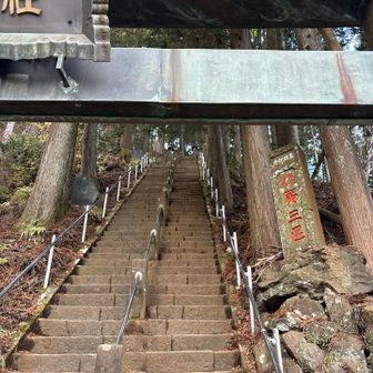 この階段を5,000倍怖くすると京都の秀吉の墓への階段になる