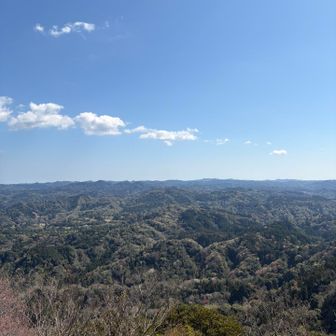 展望台じゃなくても素敵な眺望