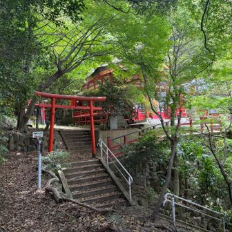 最後の神社は真っ赤な稲荷神社⛩️☺️