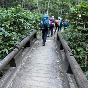 そもそも
まだ登山道はフラットだし…とまだ疑っている