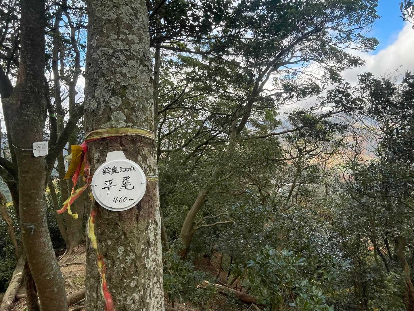 平尾　着いたぁ🙌
木々の隙間から新名神🛣見えた

ってことは、、、
臼杵ヶ岳あたりから見えてた新名神挟んだ向こう側は、この辺なの⁉️