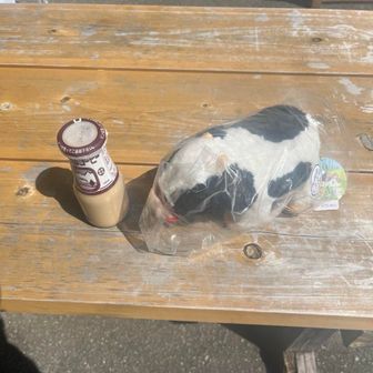 淡路鉄道洲本駅前