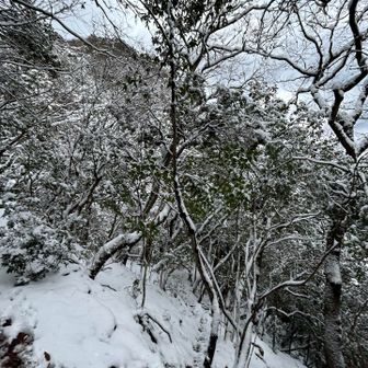 想定外の曇天ですが、それ以上の雪山登山🏔️