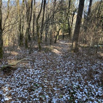 微かな雪
昨日は浜松中心部でみぞれ混じりの雨が降ったのでチェンスパ持参したんだけど、、、