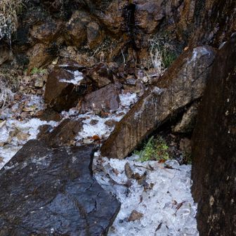 トロ箱に入っているような氷が一面に