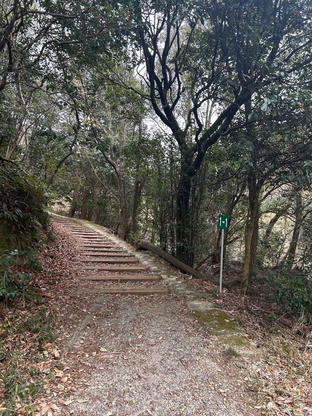 雨山 周回コースの写真
