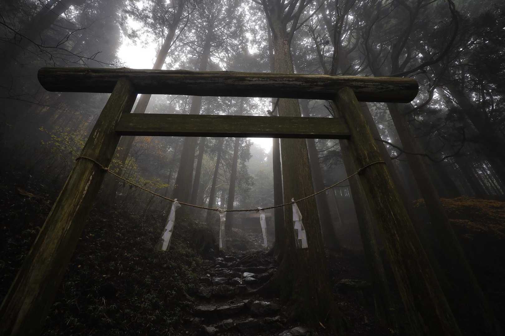 思っていたよりも普通に登山で汗だく💦
ノースリーブで山頂を目指す..